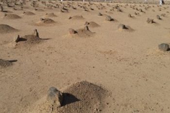 আবদুল্লাহ জুল-বিজাদাইন (রা.) : শাহাদতের তামান্নায় ব্যাকুল সাহাবি